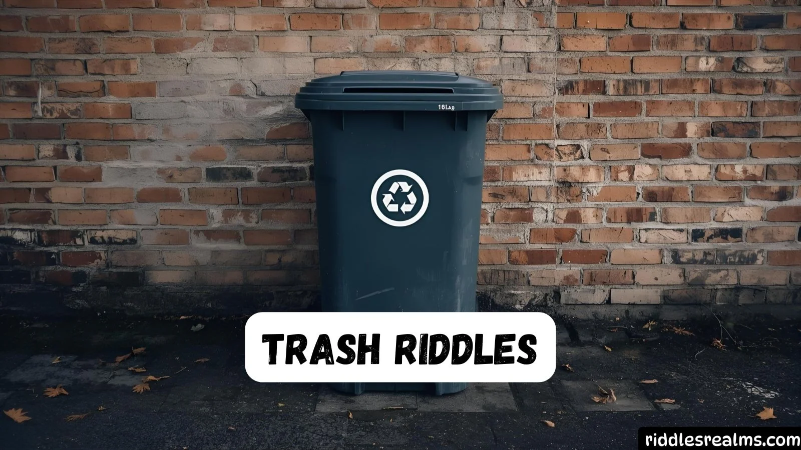 Trash Riddles