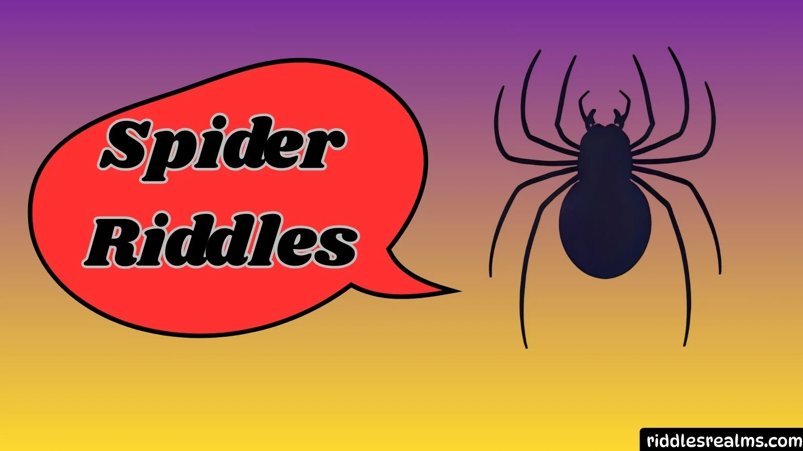 Spider Riddles